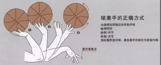 篮球训练技术动作视频下载教程_0